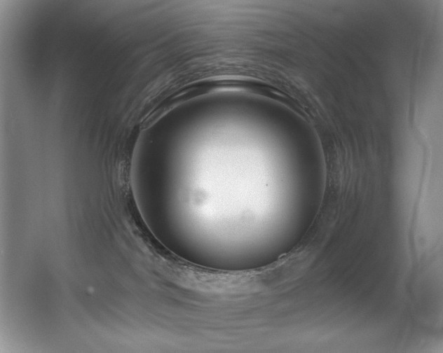 X0000067900044200604131406