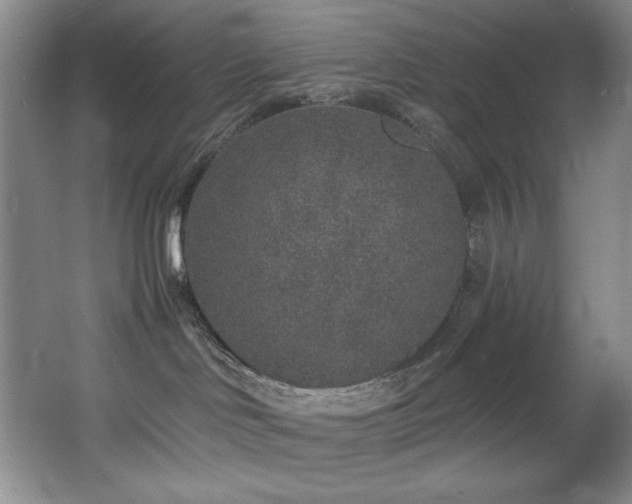 X0000067900046200604131406