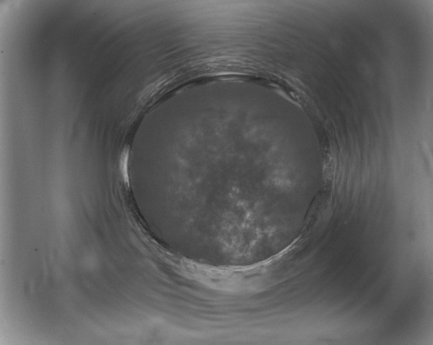 X0000067900047200604131406