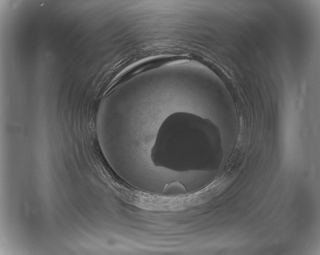 X0000067900048200604131406