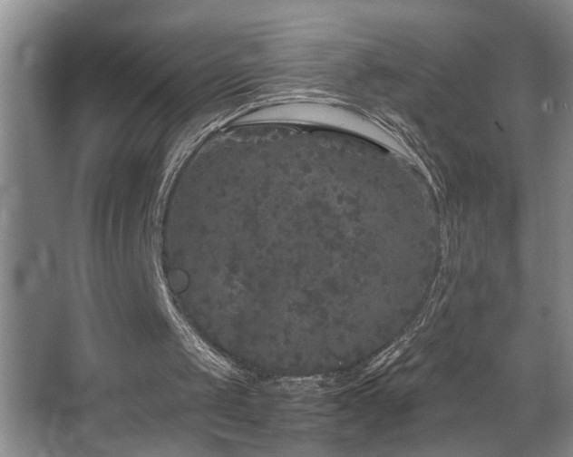 X0000067900049200604131405