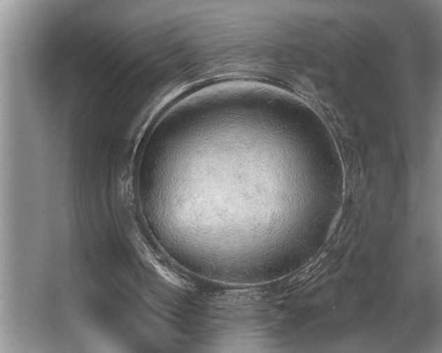 X0000067900050200604131405