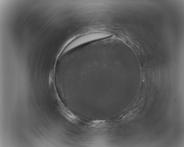 X0000067900052200604131405