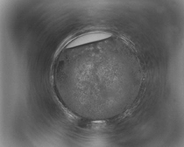 X0000067900053200604131405