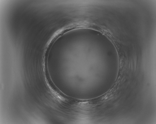 X0000067900054200604131405