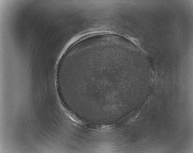 X0000067900056200604131405