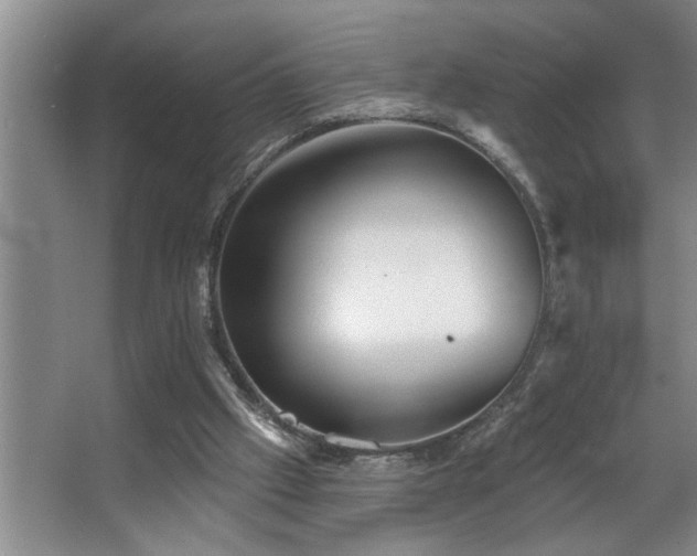 X0000067900057200604131405