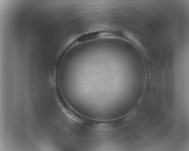 X0000067900058200604131405