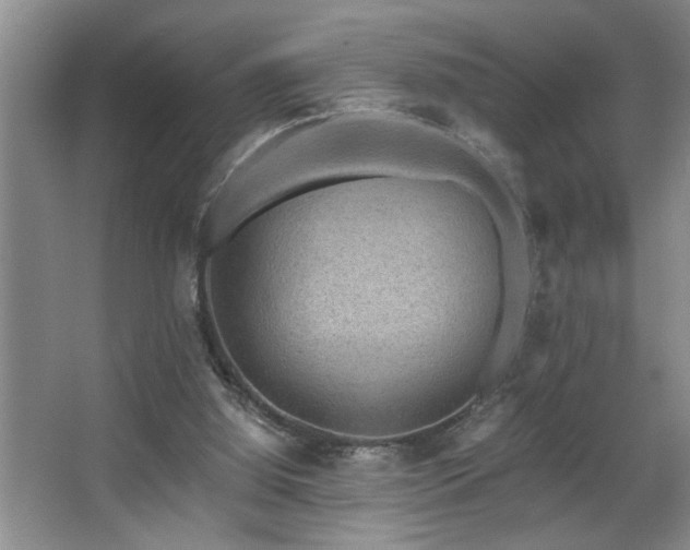 X0000067900060200604131405