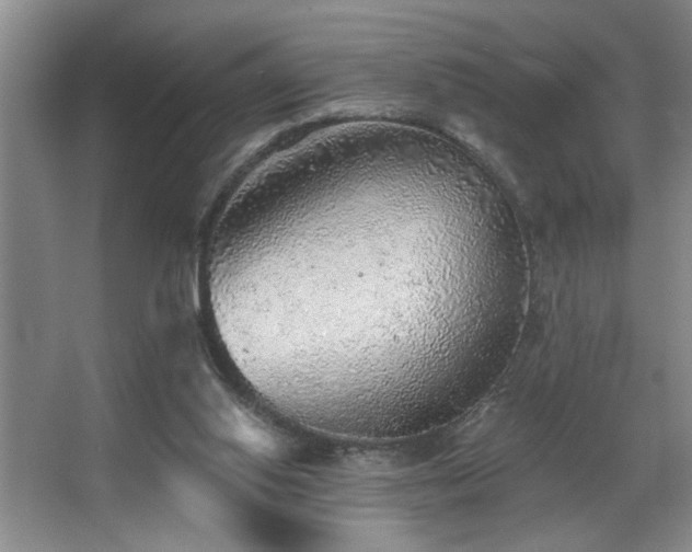 X0000067900062200604131405