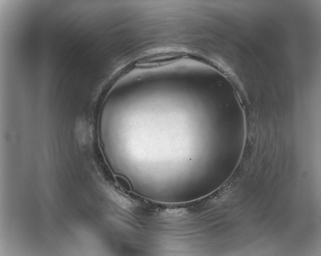 X0000067900063200604131405