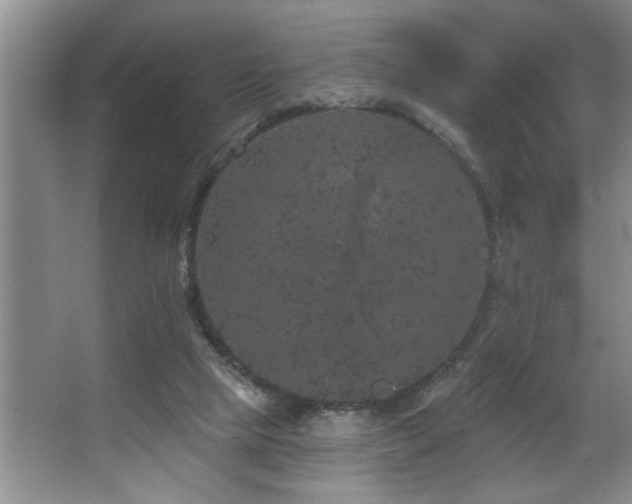 X0000067900065200604131405