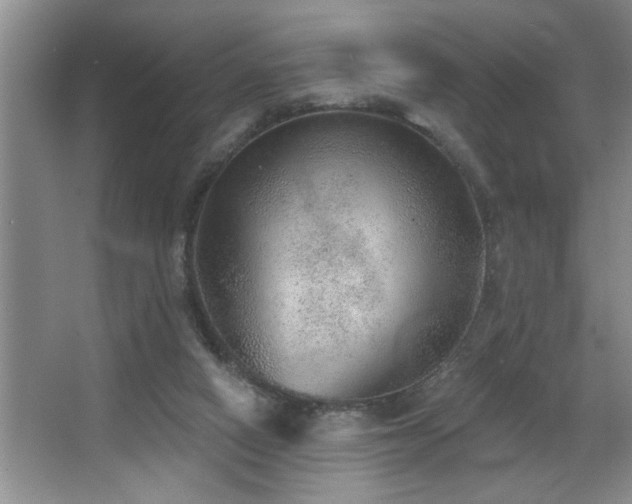 X0000067900066200604131405