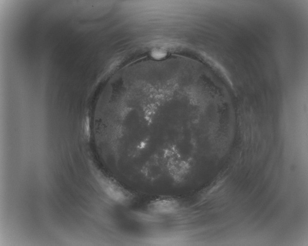 X0000067900067200604131405