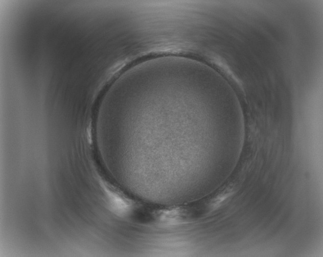 X0000067900068200604131405