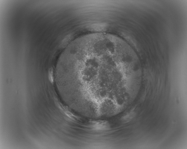 X0000067900069200604131405