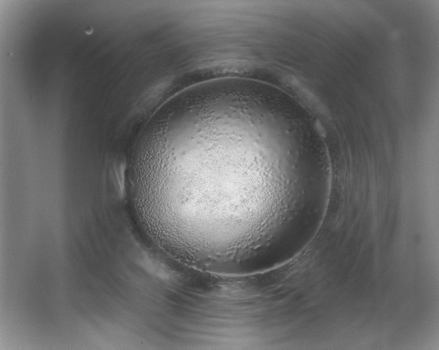 X0000067900070200604131405