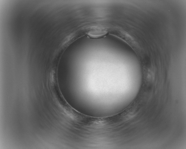 X0000067900071200604131405