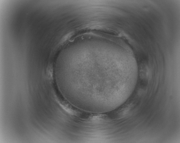 X0000067900072200604131405