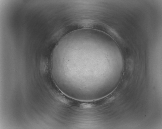 X0000067900073200604131405