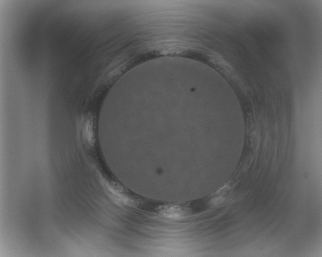 X0000067900074200604131405