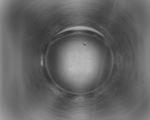 X0000067900075200604131405