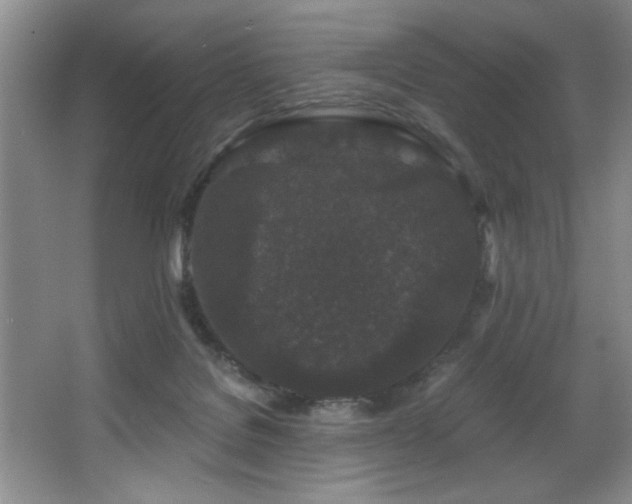 X0000067900076200604131405