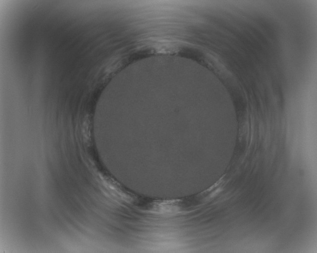 X0000067900078200604131405