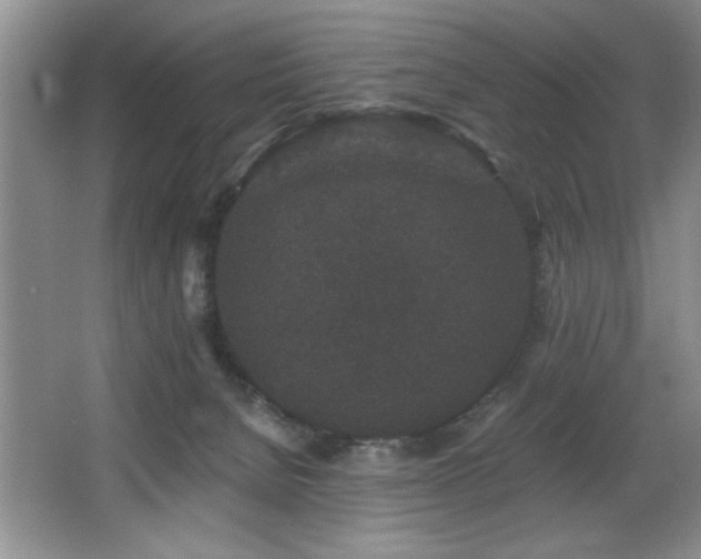 X0000067900080200604131405