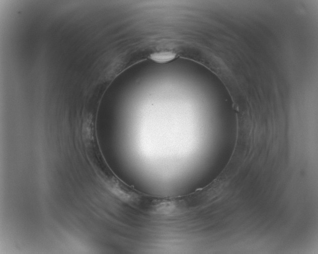 X0000067900083200604131405