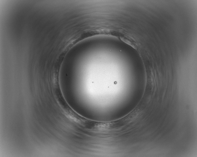 X0000067900084200604131405