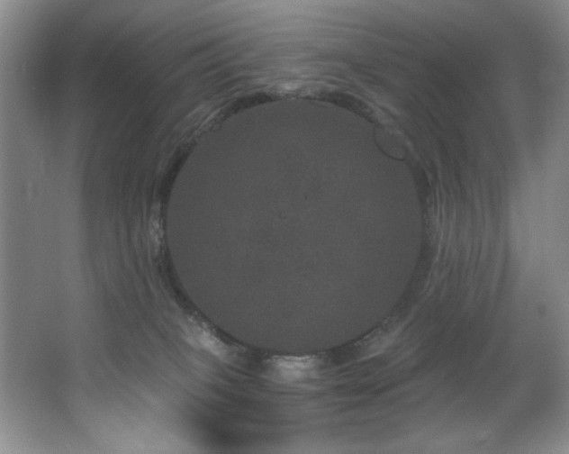 X0000067900085200604131405