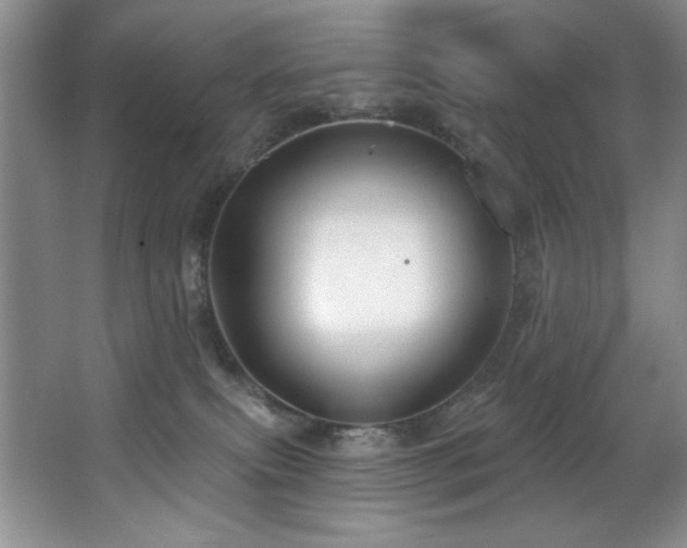 X0000067900087200604131405