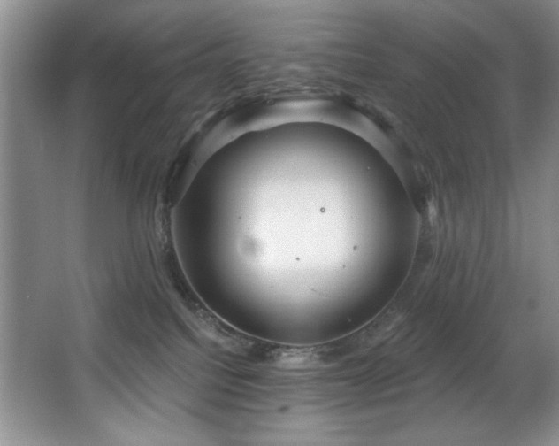 X0000067900088200604131406