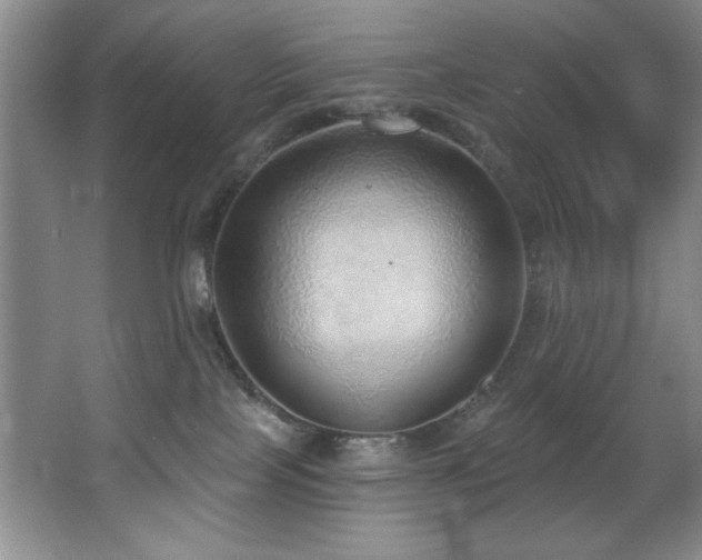 X0000067900089200604131406