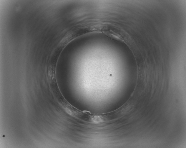 X0000067900091200604131406