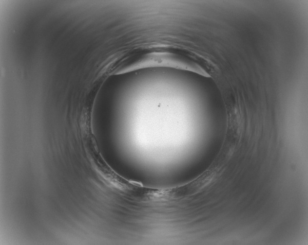 X0000067900092200604131406