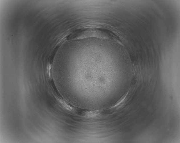 X0000067900094200604131406