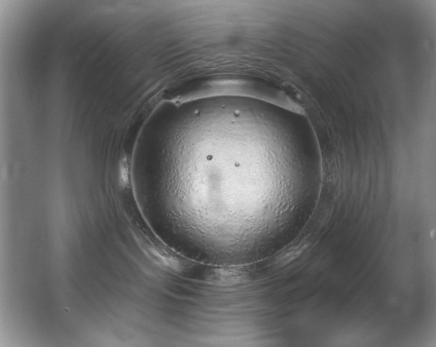 X0000067900095200604131406