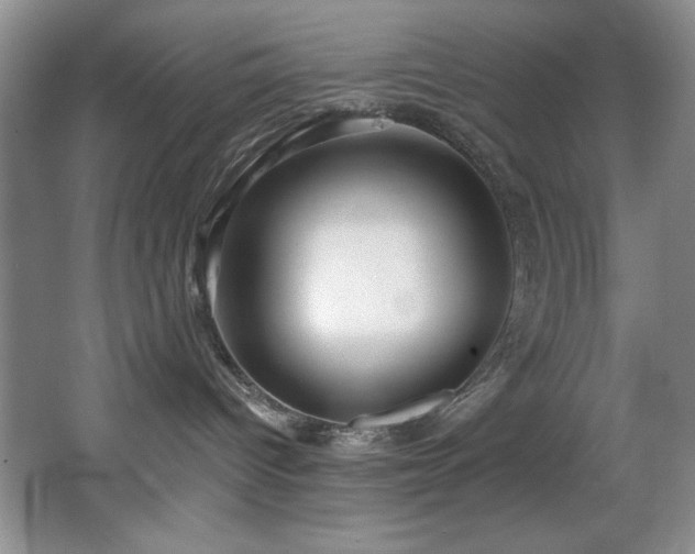 X0000067900096200604131406