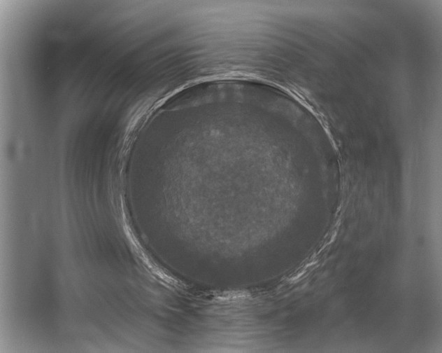 X0000067900097200604131405