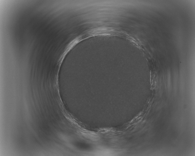 X0000067900099200604131405