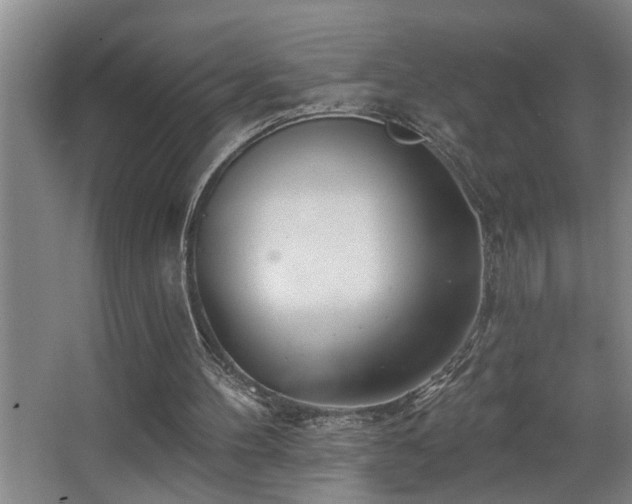 X0000067900100200604131405