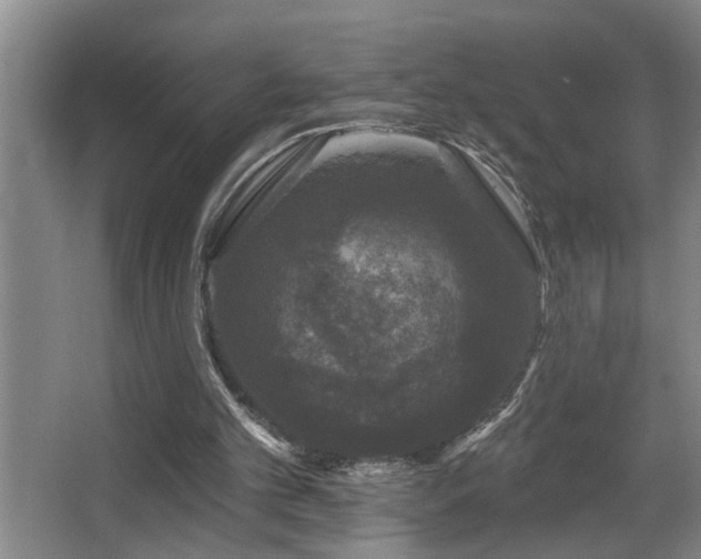 X0000067900101200604131405