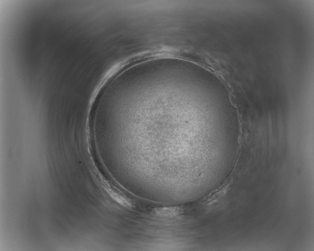 X0000067900102200604131405