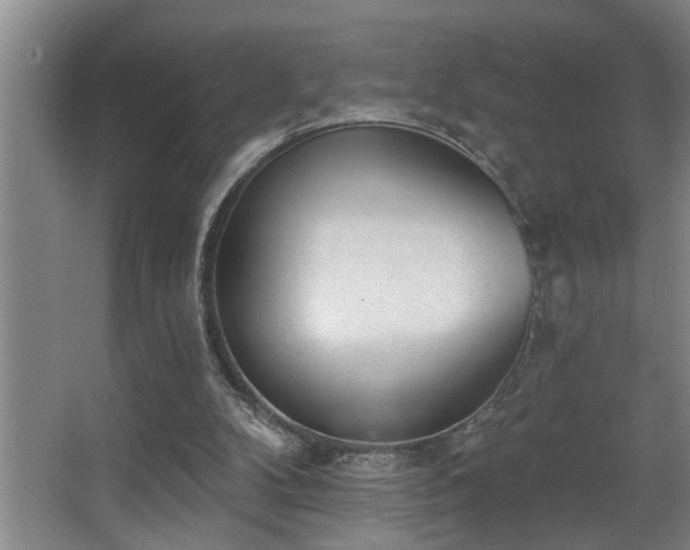 X0000067900104200604131405