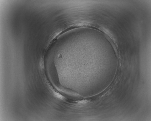 X0000067900105200604131405