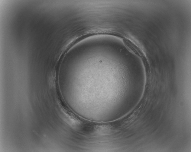 X0000067900107200604131405