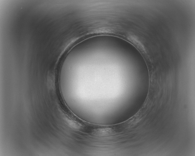 X0000067900108200604131405