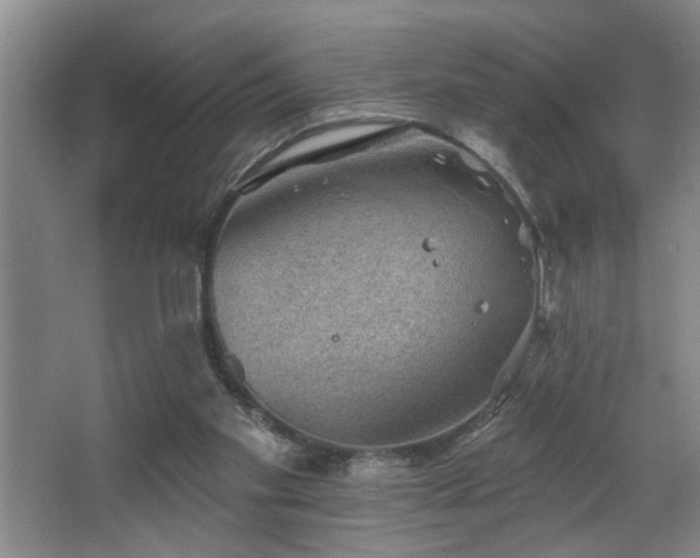 X0000067900109200604131405